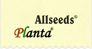 Allseeds Planta